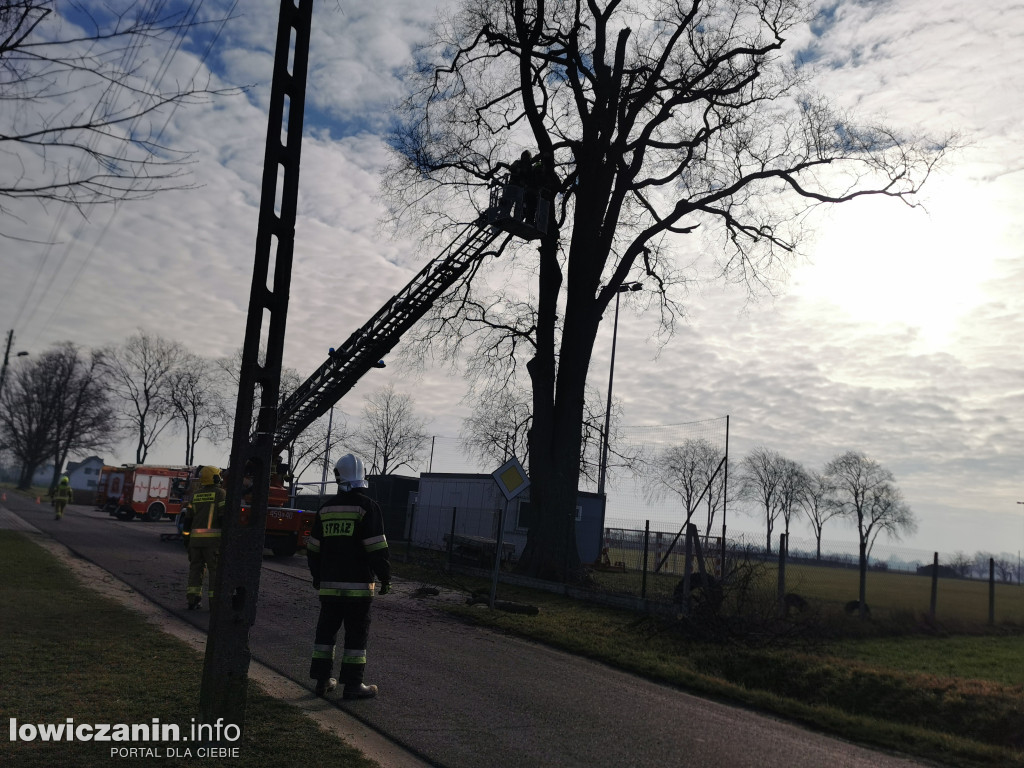 Niedźwiada. Niebezpieczne konary nad boiskiem