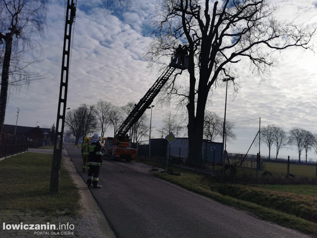 Niedźwiada. Niebezpieczne konary nad boiskiem