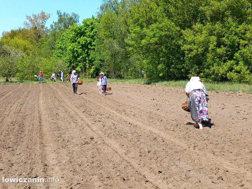 Majówka w Skansenie Wsi Łowickiej w Maurzycach