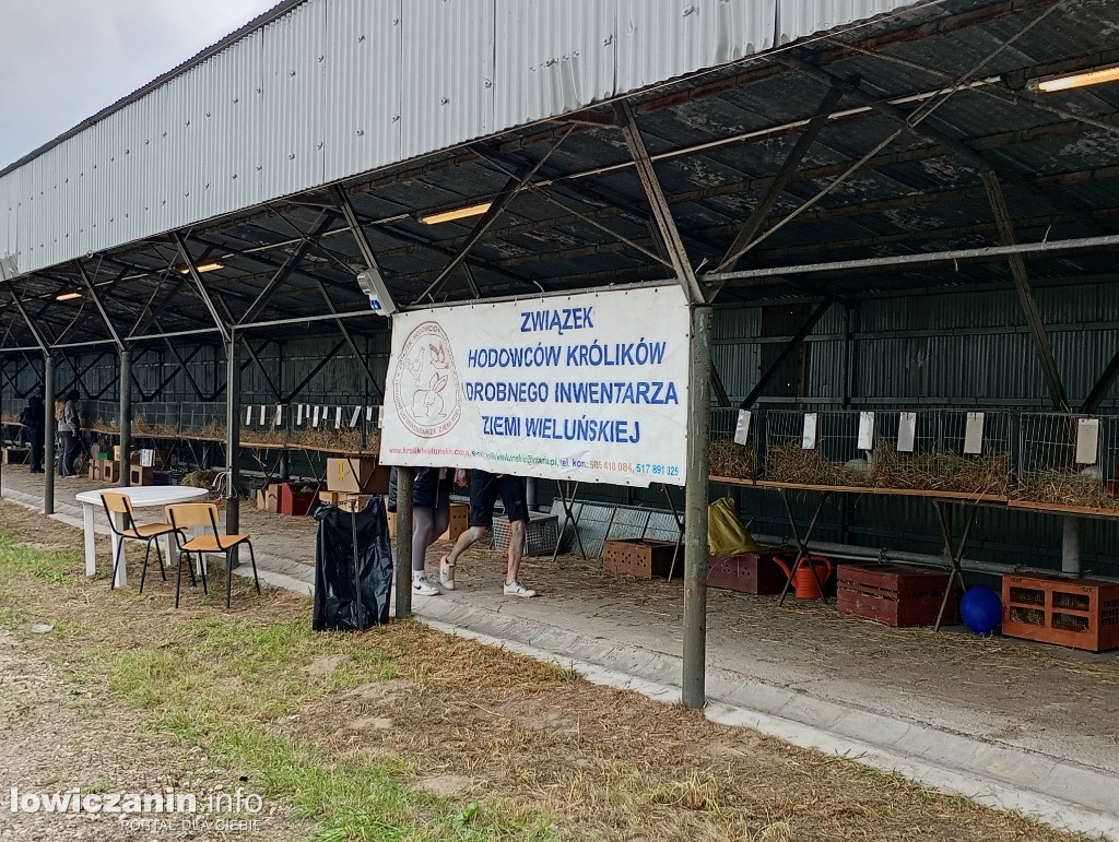 VI Krajowe Dni Pola w Bratoszewicach