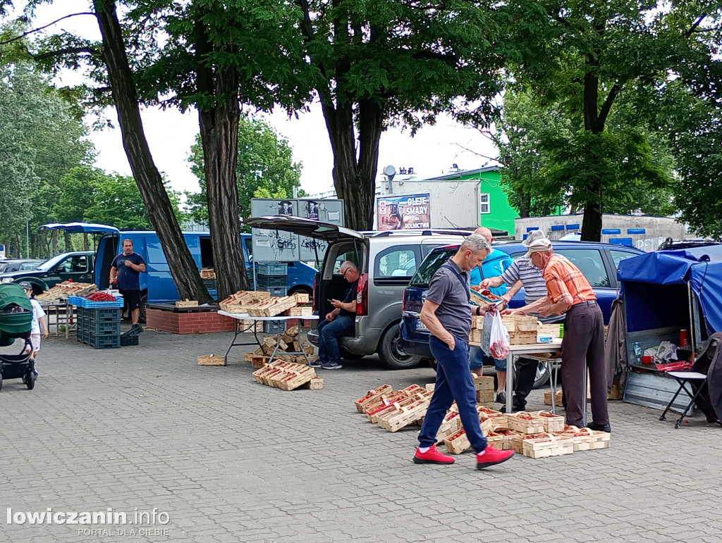 Truskawkowy sezon w Łowiczu na finiszu?
