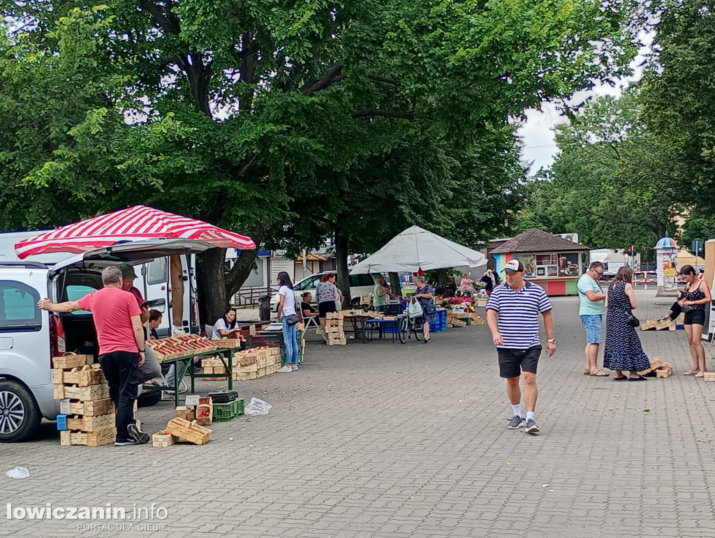 Truskawkowy sezon w Łowiczu na finiszu?
