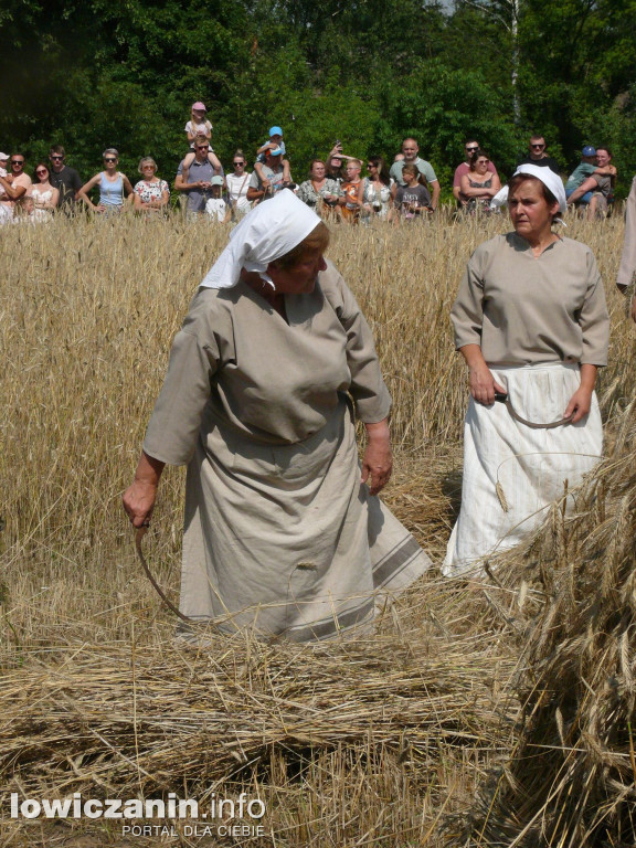 Łowickie Żniwa w Skansenie w Maurzycach