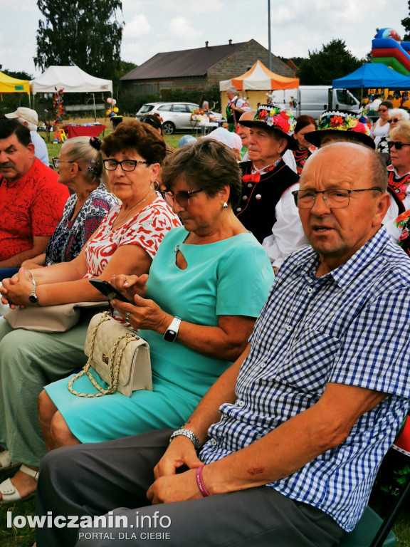 V Dzień Folkloru w Lipce