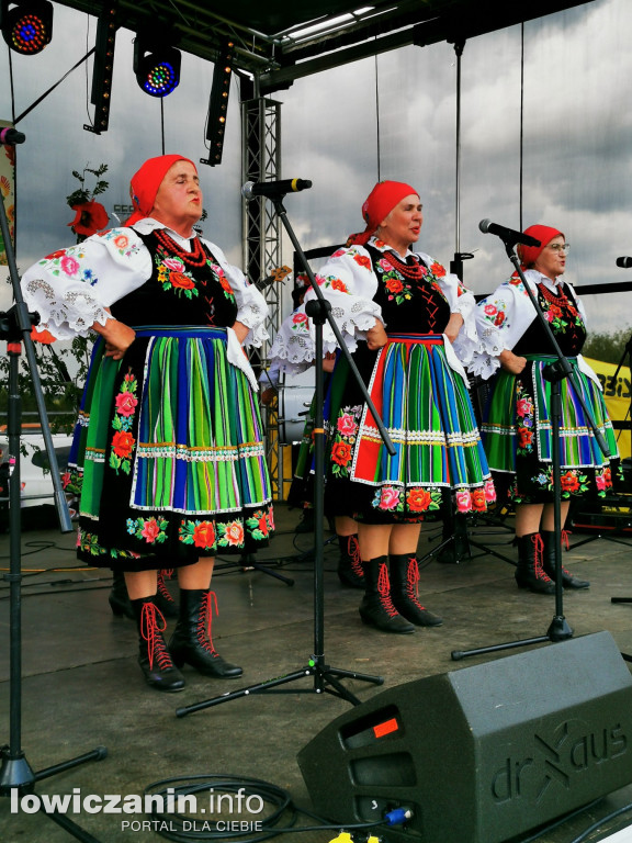V Dzień Folkloru w Lipce