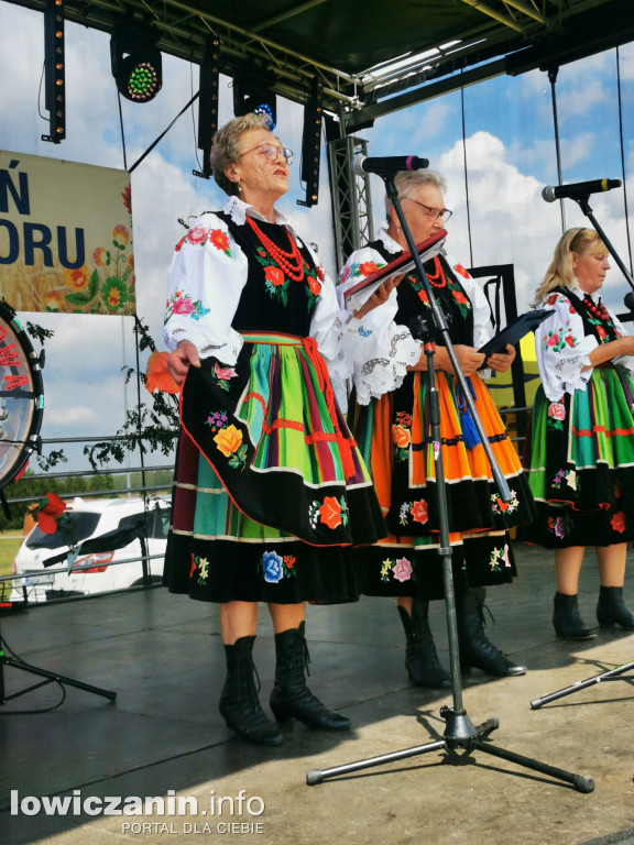 V Dzień Folkloru w Lipce