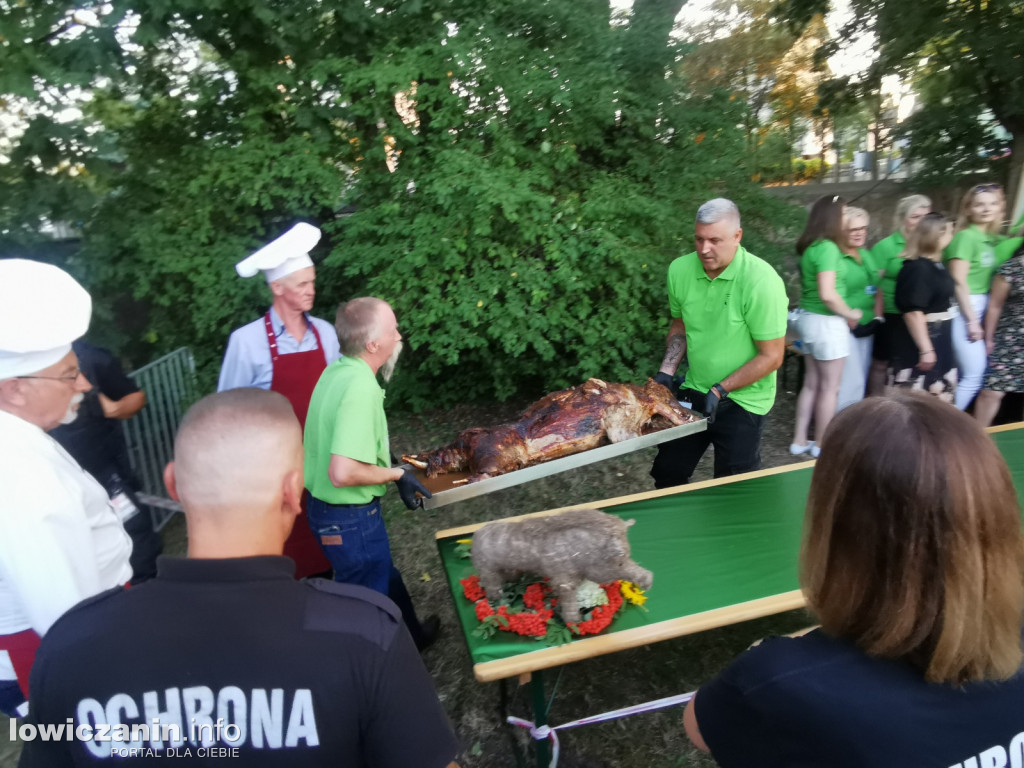 Dzień Kiernozkiego Dzika