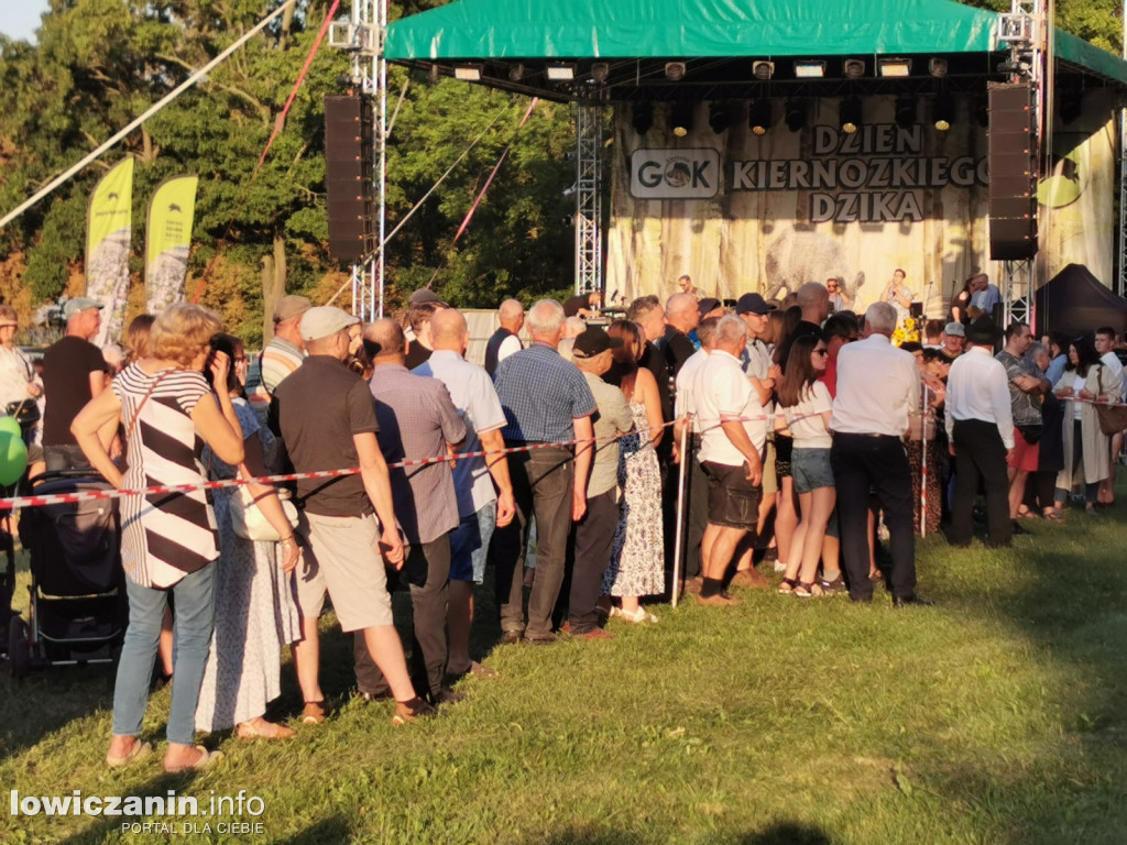 Dzień Kiernozkiego Dzika