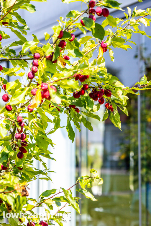 Nowa sala konferencyjno-bankietowa \