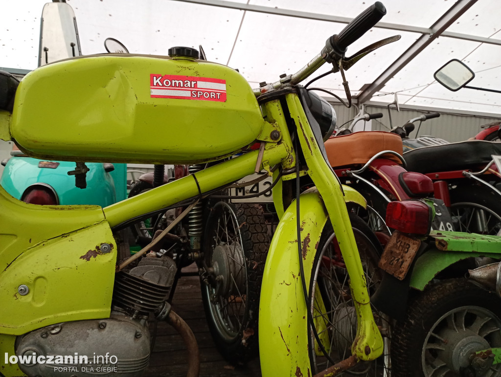 Nieborów dla Adasia i Kubusia