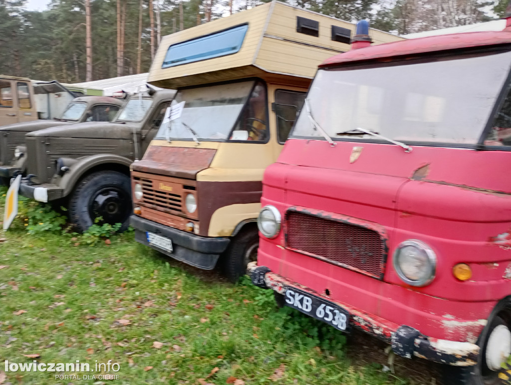 Nieborów dla Adasia i Kubusia