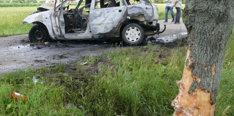 Spalony Ford Focus i drzewo, w które uderzył po zjechaniu z jezdni. fot. tb