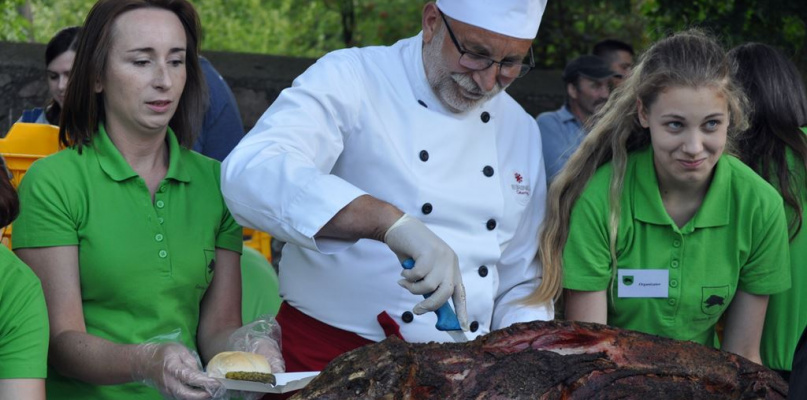 Dzień Kiernozkiego Dzika