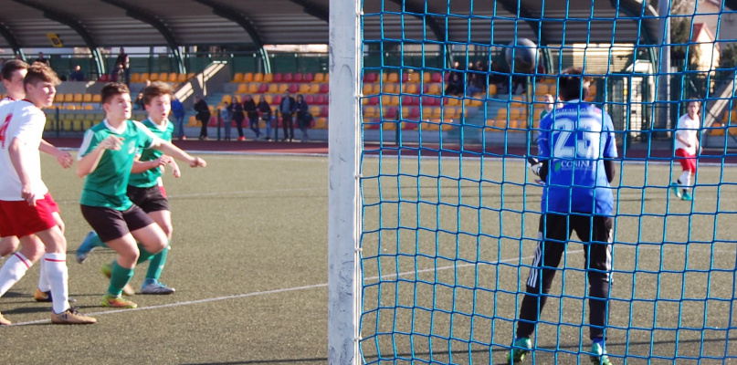 Fot.: Paweł A. Doliński.