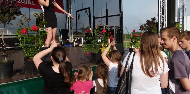 Święto Powiatu Brzezińskiego w gm. Dmosin. Fot. EWR