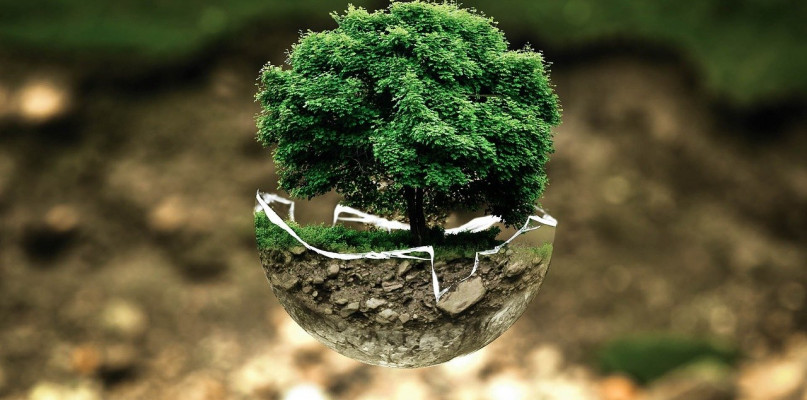 Źródło: pixabay.com Licencja: https://pixabay.com/pl/service/license 