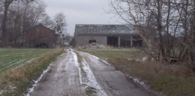 fot. archiwum NŁ