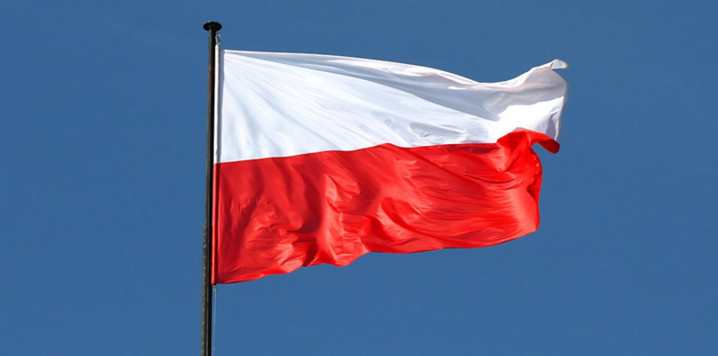 zdjęcie poglądowe
