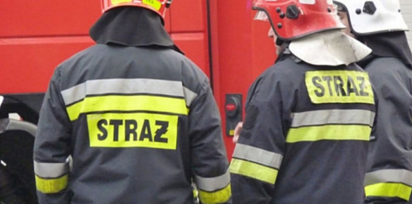 Zdjęcie zastępcze