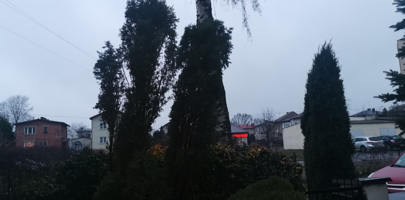Wiatr był silny, ale nie wyrządził szkód