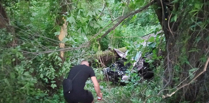 	Skoda Jeeta zakończyła jazdę wśród drzew, kilka metrów poniżej poziomu drogi. 
