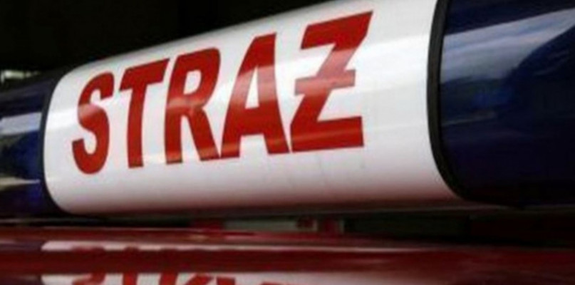 Fot. Zdjęcie zastępcze