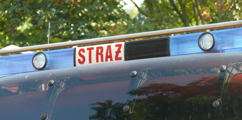 fot. zastępcze.