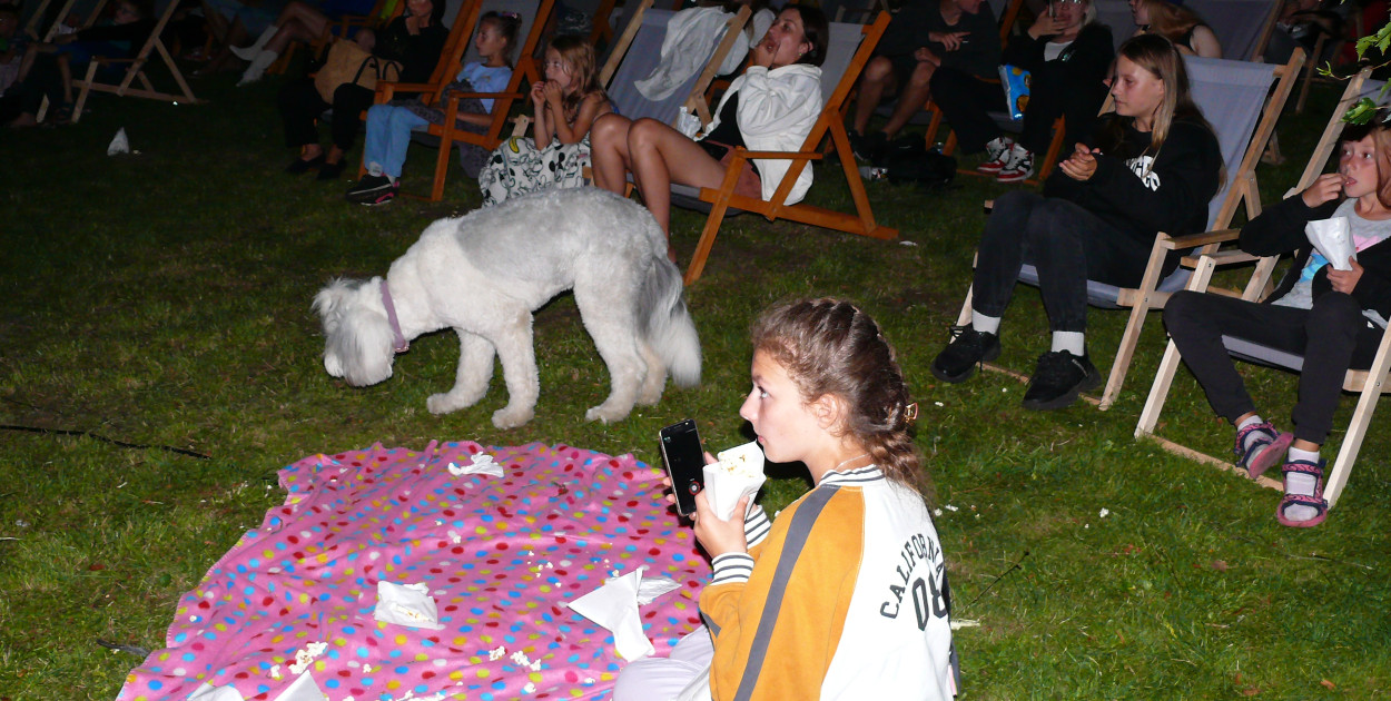 Jak widać do plenerowego kina można było przyjść nawet z psem. 