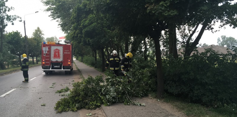 Strażacy usuwająkonar z ul. Kaliskiej w Łowiczu. fot. Damian Białecki