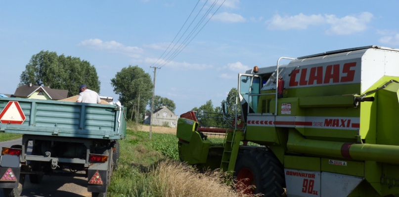 Rolnicy od soboty żniwują. W gminie Oporów i sąsiedniej gm. Szczawin Kościelny rolnicy są zadowoleni z plonów, bowiem w tym rejonie padał deszcz fot. Dorota Grąbczewska