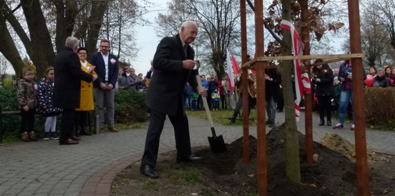 Sadzenie Dębu Niepodległości w Głownie. Fot. EWR