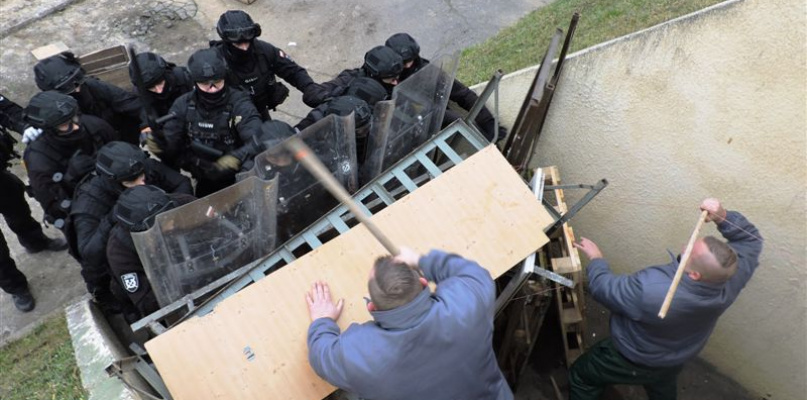 fot. pot. Robert Stępniewski