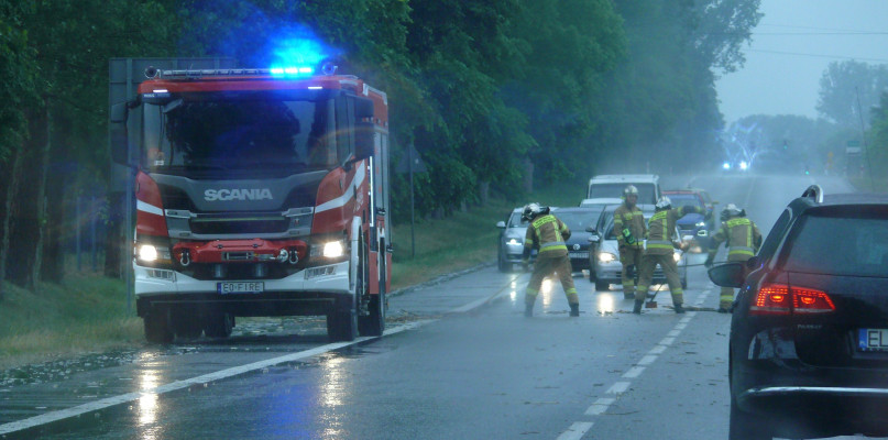 Strażacy usuwający powalony konar na DK14 w Jamnie. fot. tb/NL