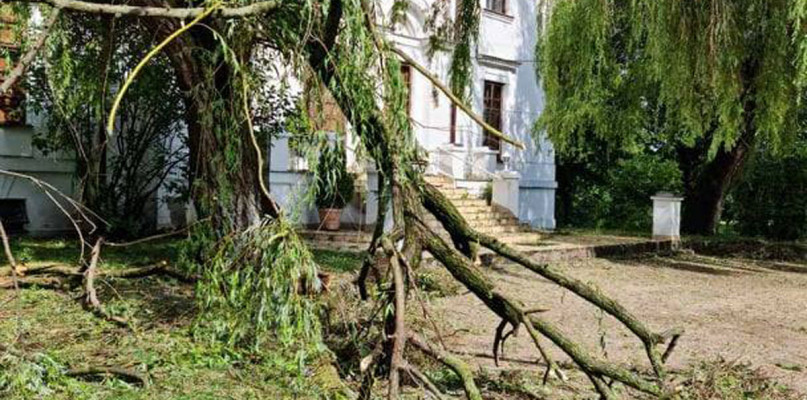 Zniszczenia w parku w Kiernozi po ubiegłotygodniowej nawałnicy.