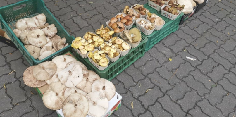 Jedno ze stoisk na targowicy
