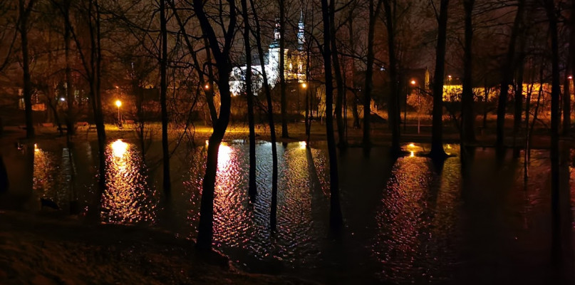 Park Błownie w Łowiczu wieczorem 6 lutego 2022 roku. fot. Tomasz Matusiak