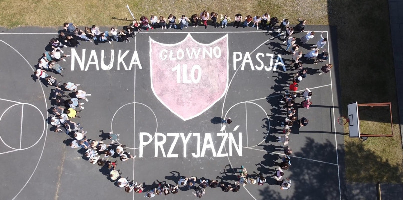 zrzut ekranu / powiat zgierski 