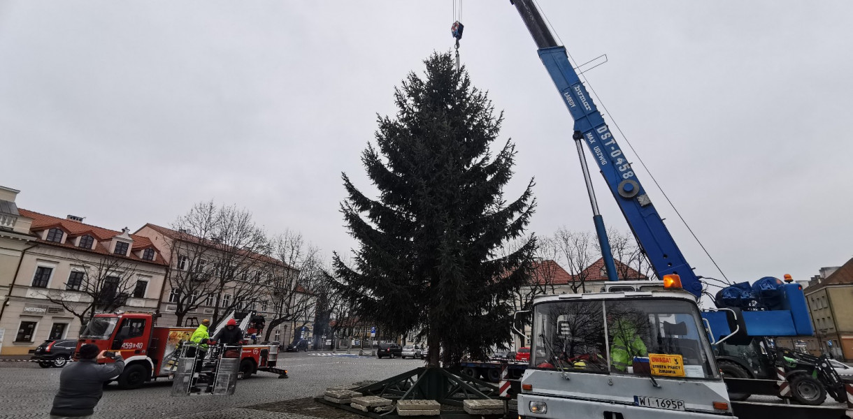 Ustawianie choinki na Starym Rynku. fot. tb/NL