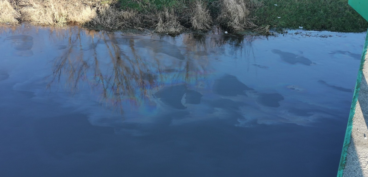 Zanieczyszczenia płynące Bzurą na wysokości mostu na ul. Warszawskiej. fot. tb/NL