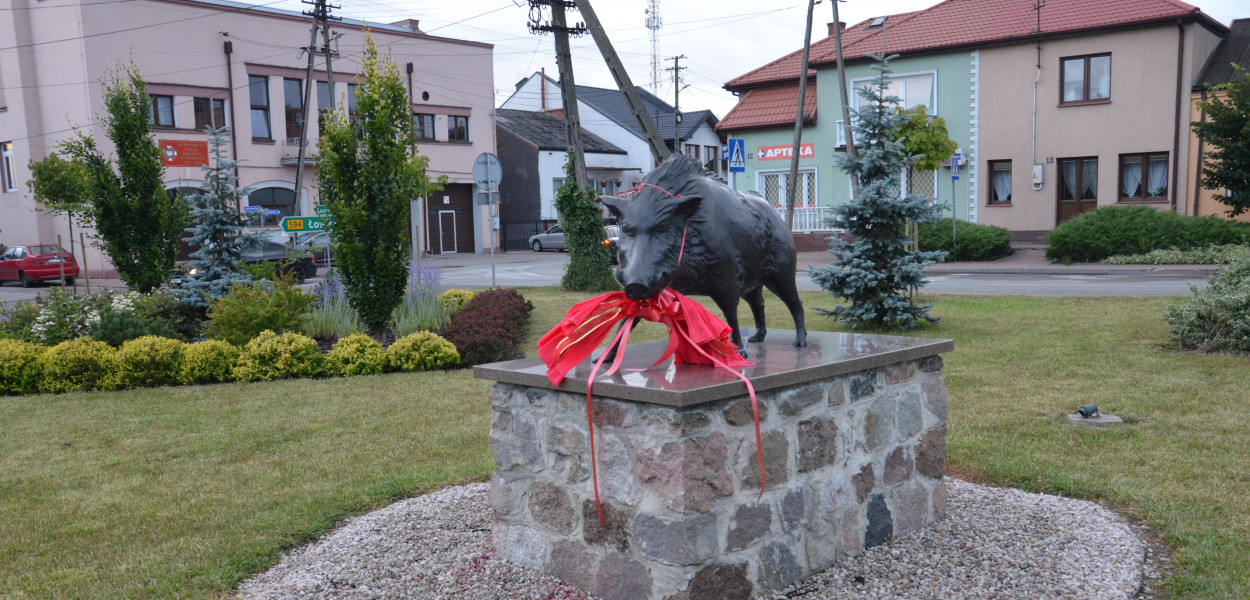 Pomnik dzika na Rynku w Kiernozi. Fot. Mirosława Wolska-Kobierecka