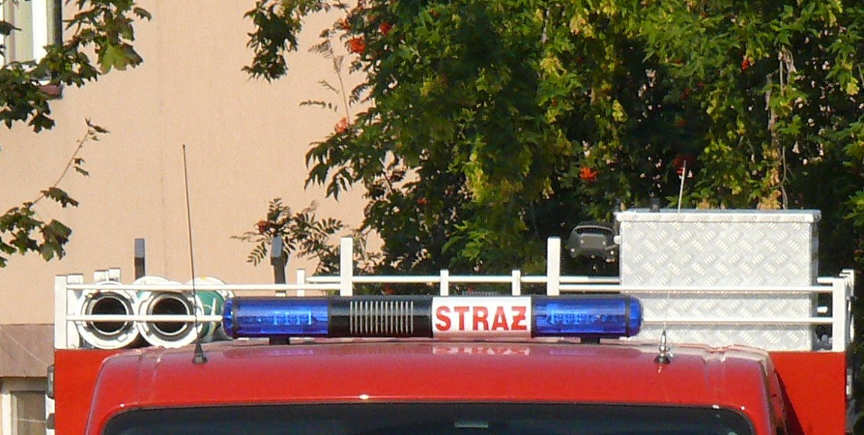 Zdjęcie zastępcze. tb/NL