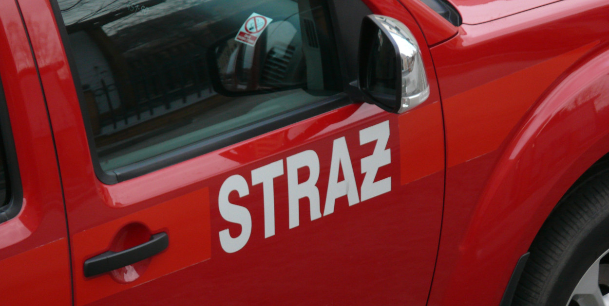 Zdjęcie zastępcze. tb/NL
