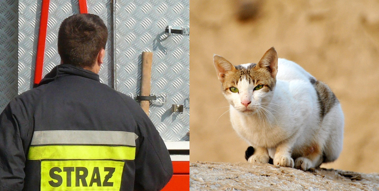 Zdjęcie zastępcze. tb/NL