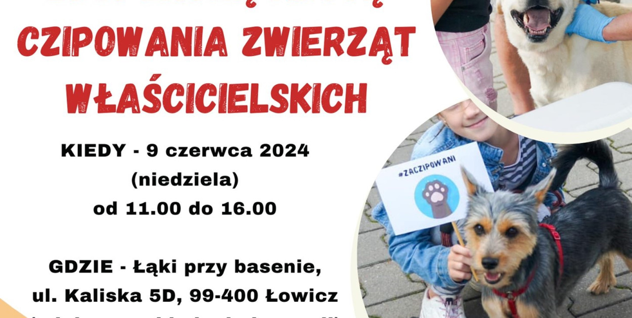 FB/ Schronisko dla Zwierząt w Łowiczu