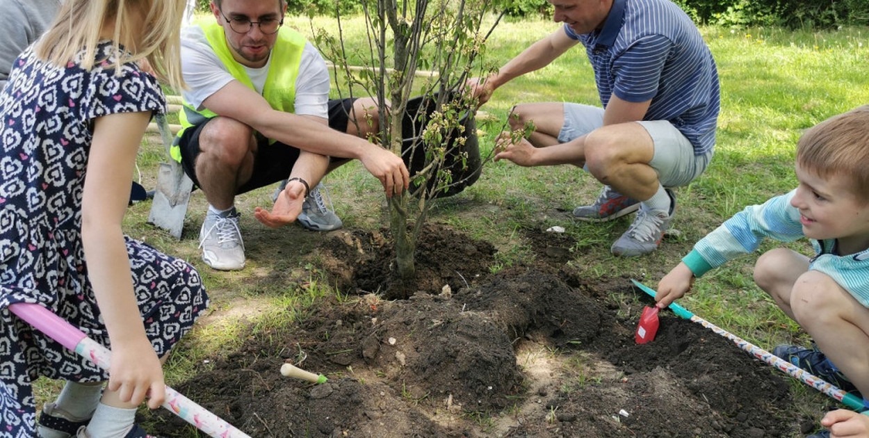 Wspólne sadzenie drzew przy ul. Dworcowej w Łowiczu. fot. tb/NŁ