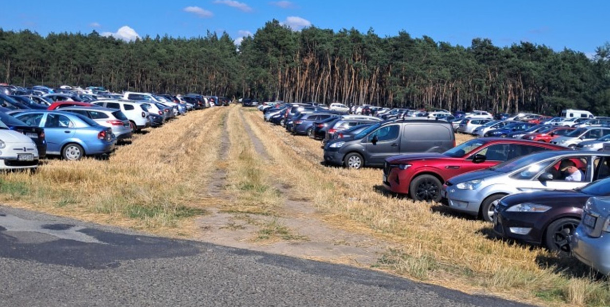 fot. Czytelniczka