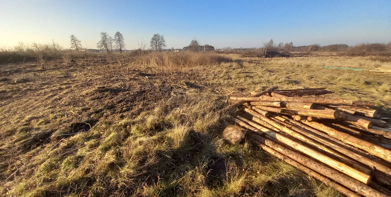 Teren pod park handlowy w Łowiczu|dziś jest nieużytkiem, na którym trwa wycinanie krzaków i zwożenie materiałów na ogrodzenie. fot. tb/NŁ