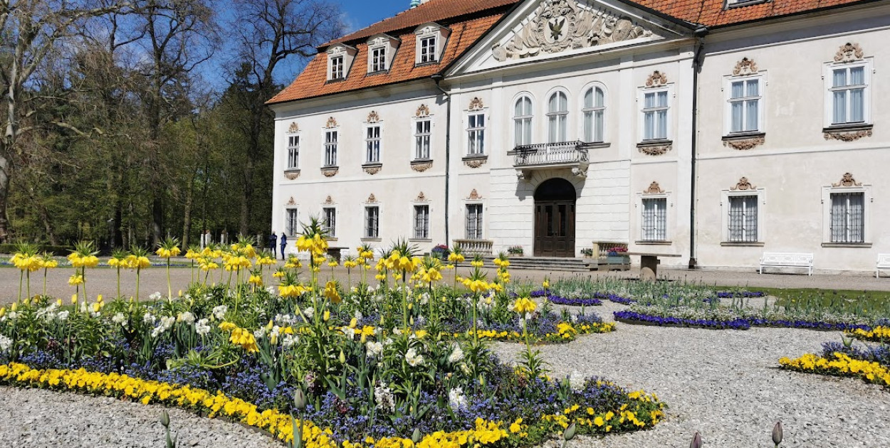 archiwum NŁ