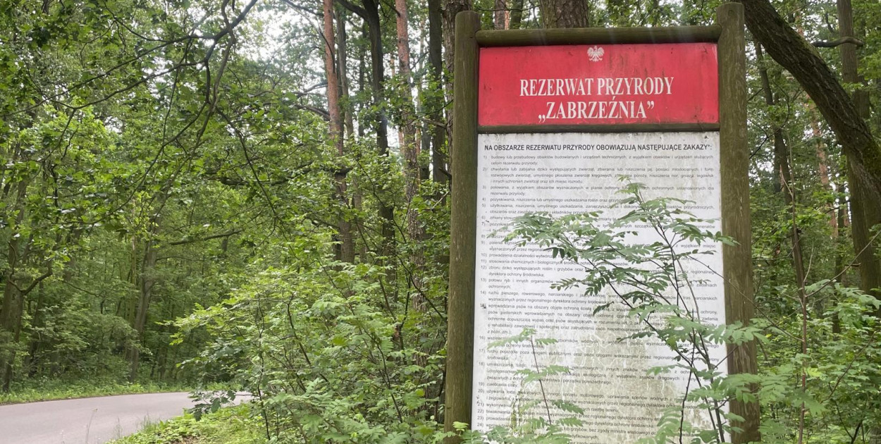 Nasze lasy tematem przewodnim