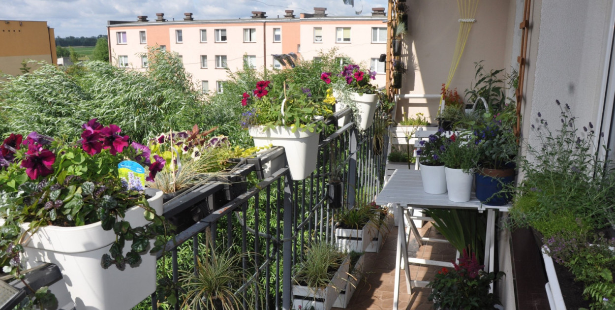 Balkon Pauliny Polak laureatki konkursu z 2023 roku.